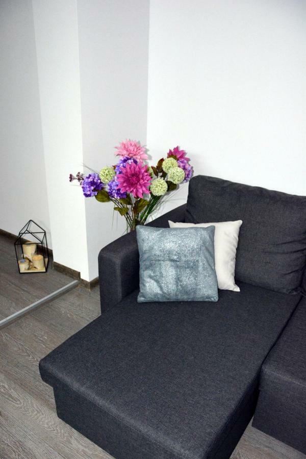 Apartament Bartolomeo Stary Toruń Extérieur photo